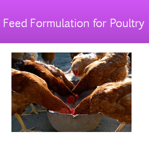 poultry feed formulation